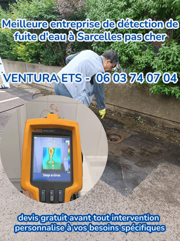 Meilleure entreprise de détection de fuite d'eau à Sarcelles